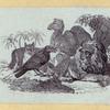 Lions, dogs, bears, cats, birds, rabbits, and horses.