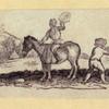 Lions, dogs, bears, cats, birds, rabbits, and horses.
