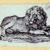 Lions, dogs, bears, cats, birds, rabbits, and horses.