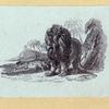Lions, dogs, bears, cats, birds, rabbits, and horses.