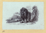 Lions, dogs, bears, cats, birds, rabbits, and horses.