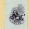 Lions, dogs, bears, cats, birds, rabbits, and horses.
