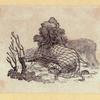 Bears, foxes, wolves, dogs, cats, tigers, and lions.