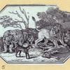Bears, foxes, wolves, dogs, cats, tigers, and lions.