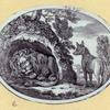 Bears, foxes, wolves, dogs, cats, tigers, and lions.