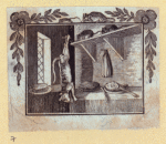 Bears, foxes, wolves, dogs, cats, tigers, and lions.