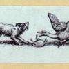 Bears, foxes, wolves, dogs, cats, tigers, and lions.