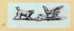 Bears, foxes, wolves, dogs, cats, tigers, and lions.