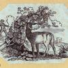 Lions, deers, and farm animals.