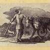 Lions, deers, and farm animals.