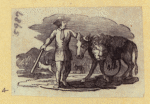 Lions, deers, and farm animals.