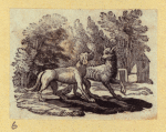 Lions, deers, and farm animals.