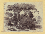 Lions, deers, and farm animals.