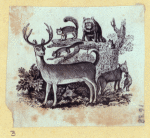 Deer, lion, bear, dog, and farm animals.