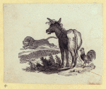 Dog, cat, fox, wolf, lion, donkey, and a chicken.