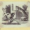 Dog, cat, fox, wolf, lion, donkey, and a chicken.