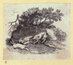 Dog, cat, fox, wolf, lion, donkey, and a chicken.