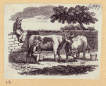 Rural and farm life.