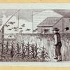 Rural and farm life.