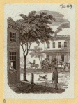 Horse-drawn carriages.