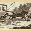 Horse-drawn carriages and carts.