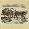 Horse-drawn carriages and carts.