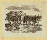Horse-drawn carriages and carts.