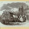 Horse-drawn carriages.