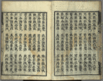 Bussetsu jûôkyô = The Sutra of the Ten Kings of Hell.