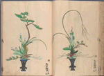 Rikka zu = Flower arrangements.