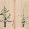 Rikka zu = Flower arrangements.