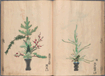 Rikka zu = Flower arrangements.
