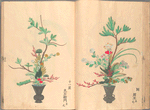 Rikka zu = Flower arrangements.