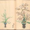 Rikka zu = Flower arrangements.