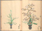 Rikka zu = Flower arrangements.