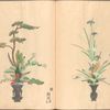 Rikka zu = Flower arrangements.