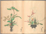 Rikka zu = Flower arrangements.