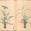 Rikka zu = Flower arrangements.