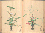 Rikka zu = Flower arrangements.