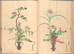 Flower arrangements by Takada Anryûbô Shûgyoku. 高田安立坊周玉