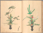 Rikka zu = Flower arrangements.