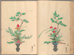 Rikka zu = Flower arrangements.