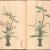 Rikka zu = Flower arrangements.