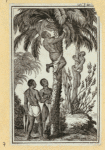Slaves escaping and rebelling.
