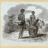 Slaves escaping and rebelling.