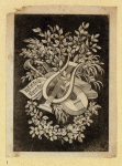 Various instruments and symbols of music.