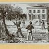 Young men and women at play.