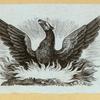Phoenixes, unicorns, and other Greek and Roman symbols.