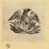 Phoenixes and other mythological symbols.