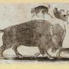 A mythical bull and a lion with a child on its back.